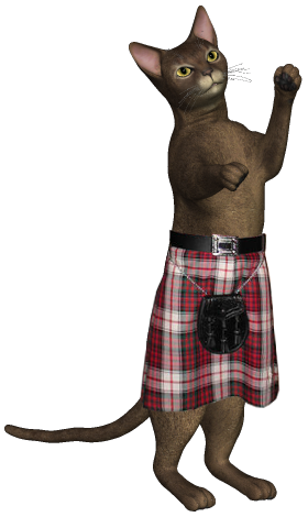Cat in a Kilt